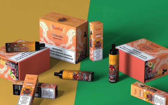 5000 sbuffi monouso Vape Accessori per fumatori 14ml Ejuice 650mAh Batteria Mint Ice per USA Regno Unito Spagna Germania Francia