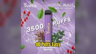 Yuoto XXL MAX 00 Puff Facile Svapo